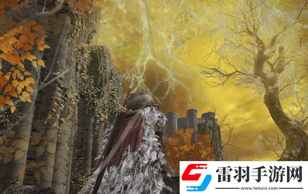 艾爾登法環艾尼爾伊利姆靈灰在哪