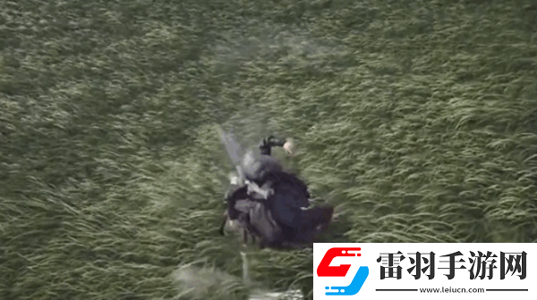 燕云十六聲凌云踏奇術(shù)怎么樣