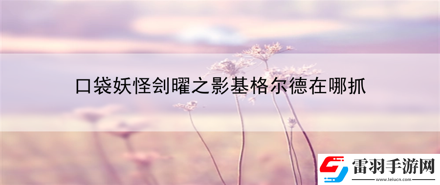 口袋妖怪劊曜之影基格爾德在哪抓