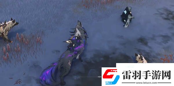 鳴潮本躍動吧龜樂團任務怎么做