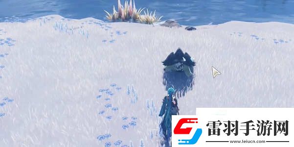 鳴潮本躍動吧龜樂團任務怎么做