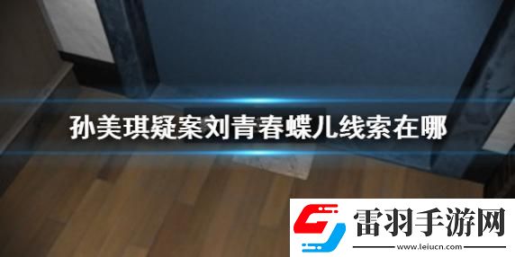 孫美琪疑案劉青春蝶兒線索在哪