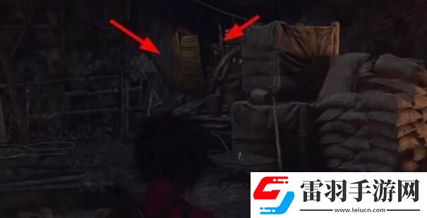 生化危機4重制版艾達王dlc鏟蟲行動攻略艾達王dlc鏟蟲行動攻略