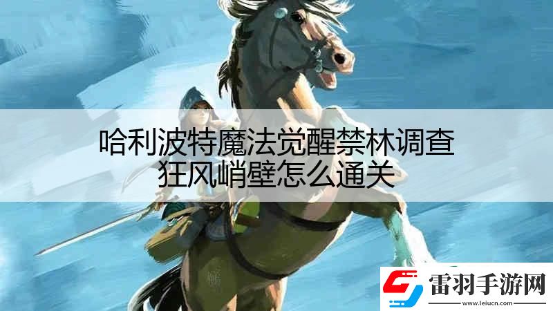 哈利波特魔法覺醒禁林調(diào)查狂風峭壁怎么通關(guān)