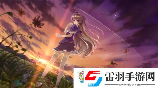 黑寡婦V3無(wú)線多少入手合適