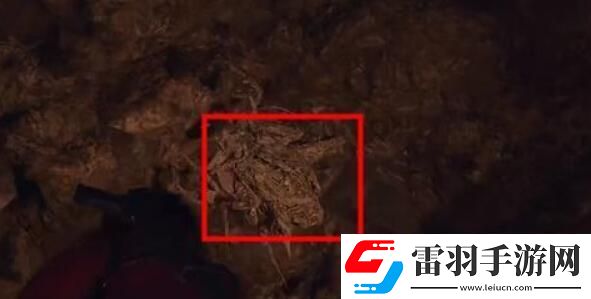 生化危機4重制版艾達王dlc鏟蟲行動攻略艾達王dlc鏟蟲行動攻略