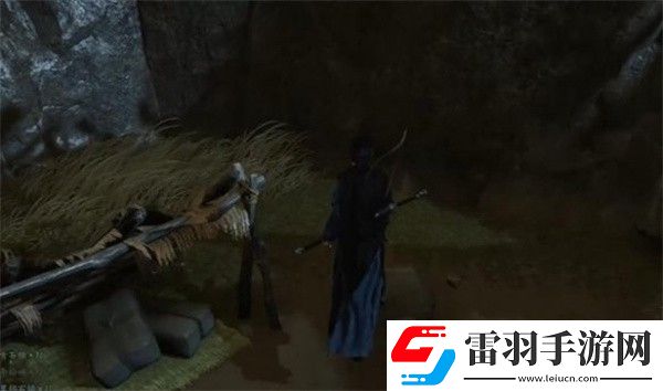 燕云十六聲菩提苦海難因善果任務怎么做