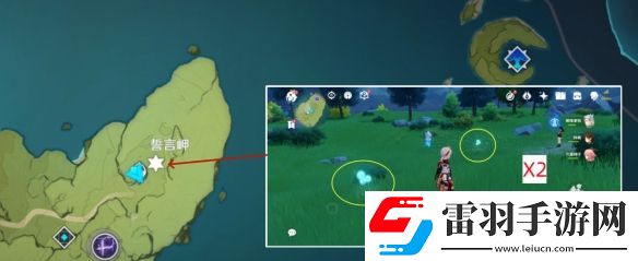 原神蒲公英籽位置在哪