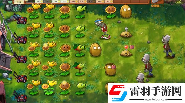 植物大戰僵尸融合版冒險模式第4關怎么過