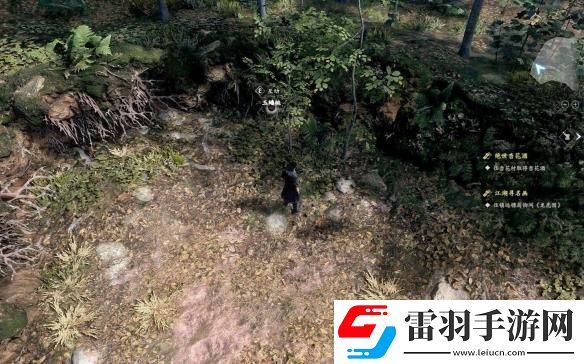 古龍風云錄第一章全收集攻略