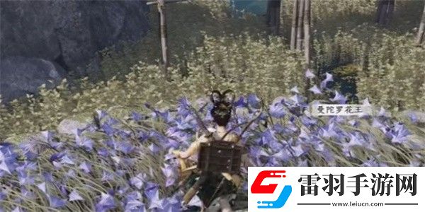 燕云十六聲紙人夭奇遇怎么做