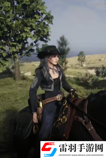 荒野大鏢客2男女連帽衛衣怎么搭配