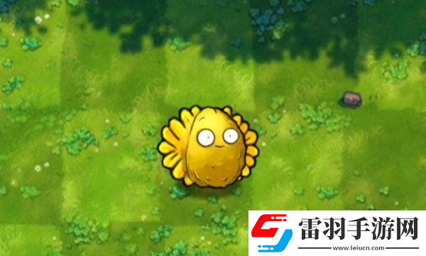 植物大戰僵尸融合版陽光堅果有什么用