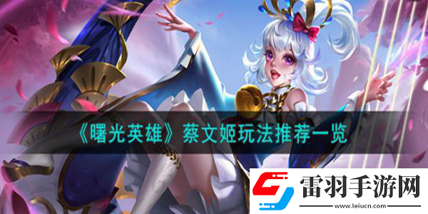 曙光英雄蔡文姬怎么玩