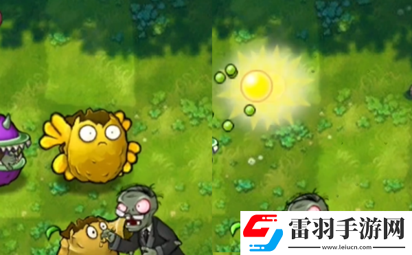 植物大戰僵尸融合版陽光堅果有什么用