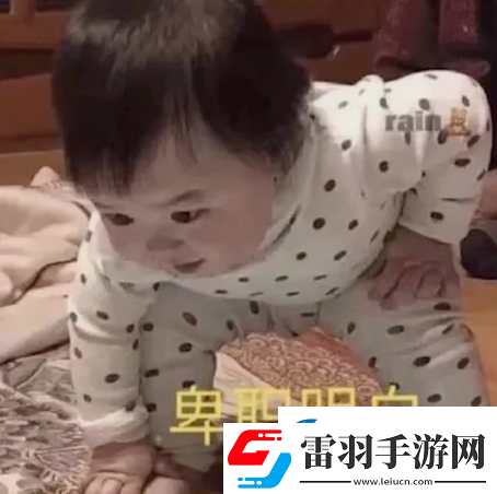 參見老婆表情包