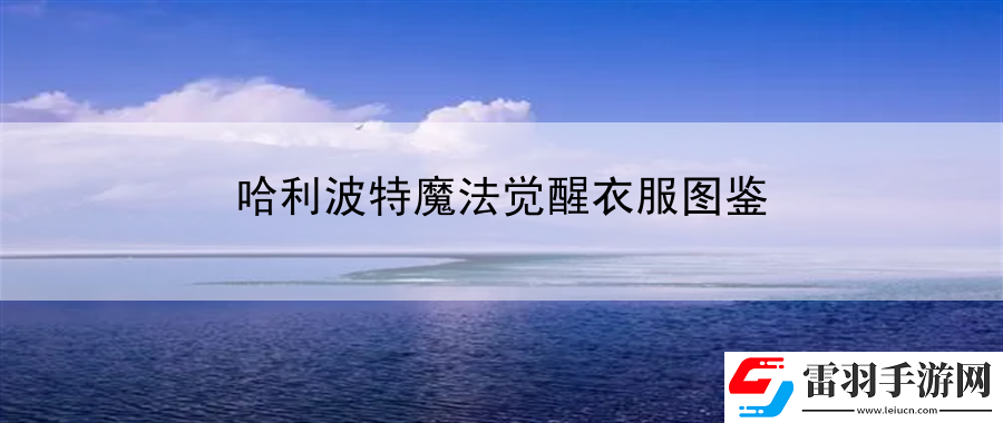 哈利波特魔法覺醒衣服圖鑒