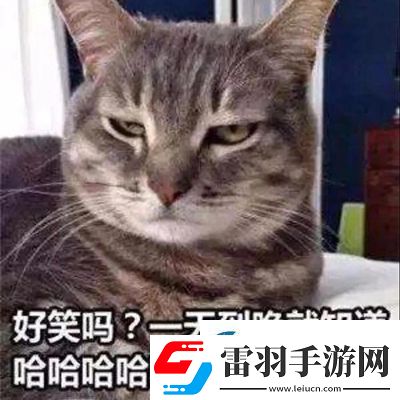 參見老婆表情包