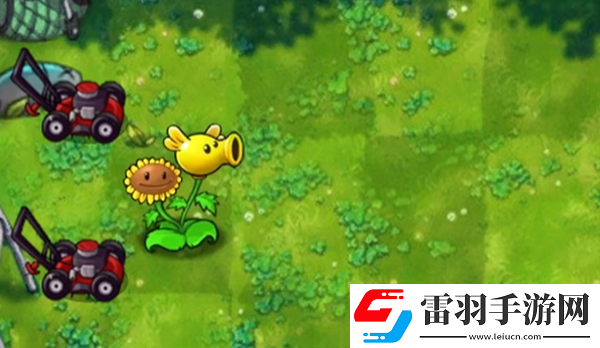 植物大戰(zhàn)僵尸融合版向日葵豌豆有什么用