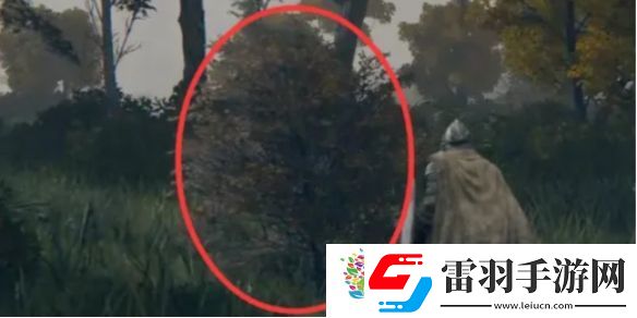 艾爾登法環鳥瞰鏡附近的人介紹