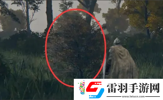 艾爾登法環鳥瞰鏡附近的人介紹