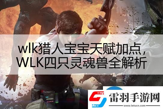 wlk獵人寶寶天賦加點