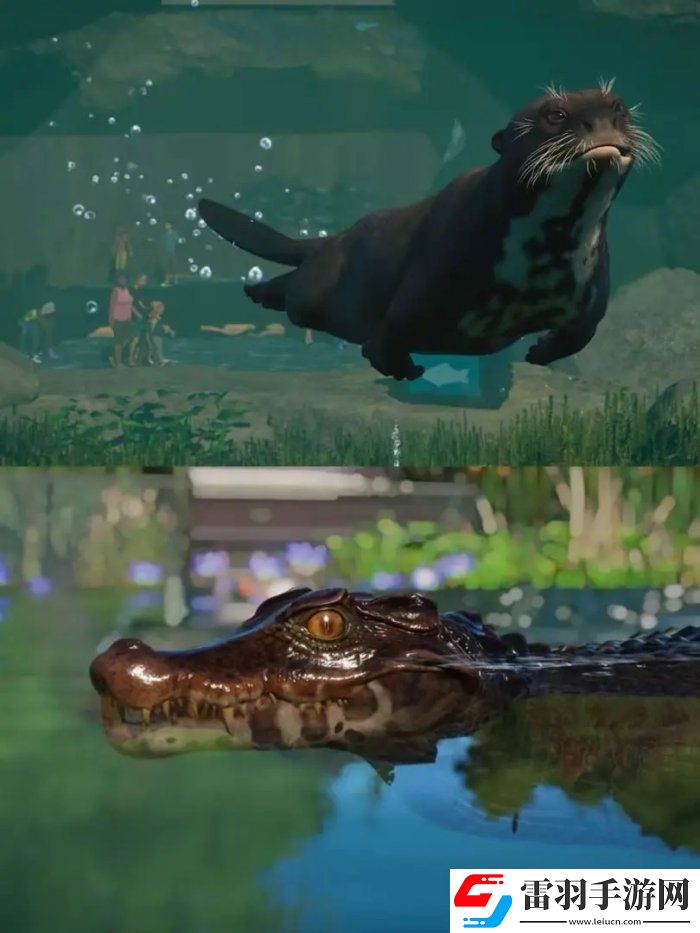 動(dòng)物園之星水生包有什么動(dòng)物