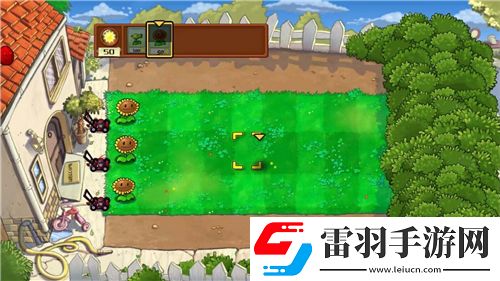 九陰真經(jīng)武當(dāng)五內(nèi)屬性全解析