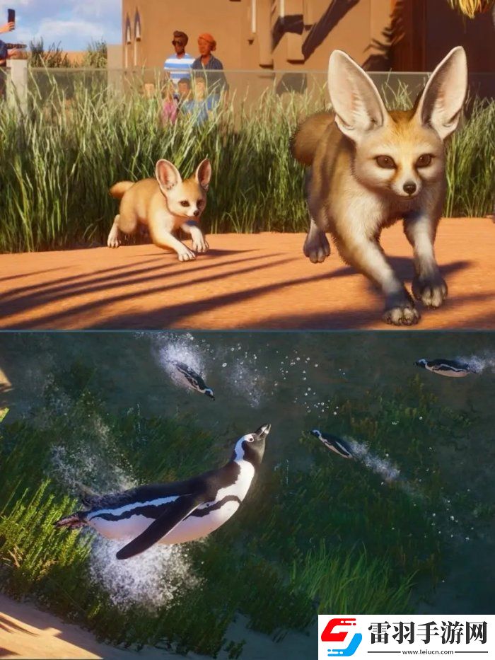 動物園之星非洲包有什么動物