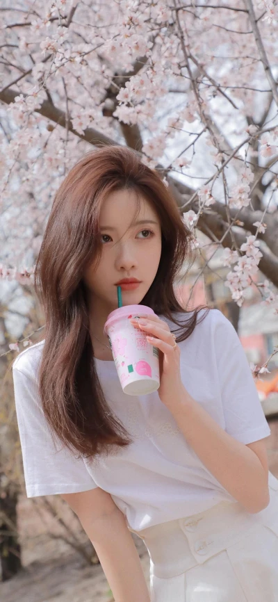 日產(chǎn)精品卡1卡2卡三卡2408