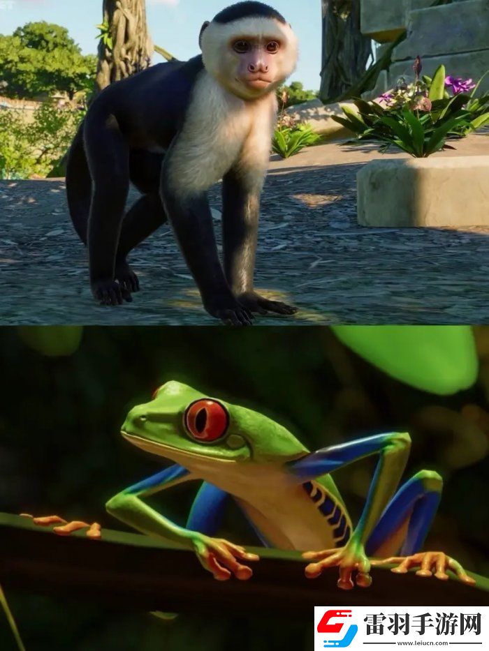 動物園之星南美洲包有什么動物