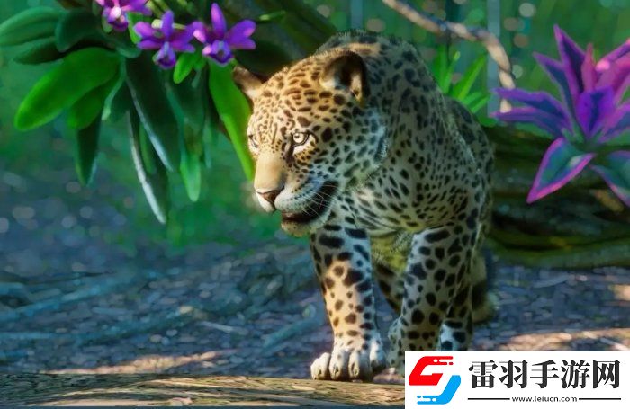 動物園之星南美洲包有什么動物