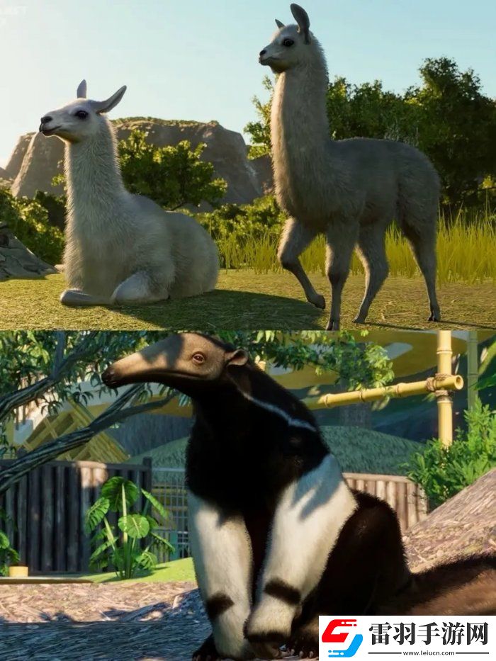 動物園之星南美洲包有什么動物