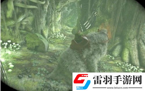 方舟之旅怎么快速升級