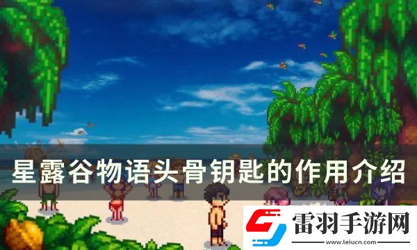 星露谷物語頭骨鑰匙的用途是什么