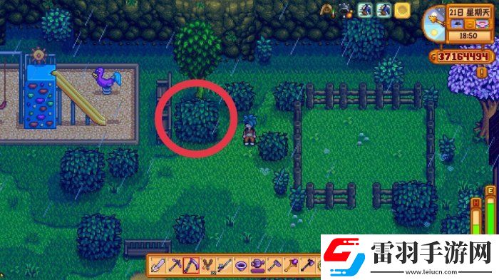 星露谷物語放大鏡有什么作用