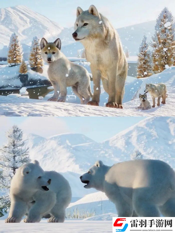 動物園之星北極包有什么動物