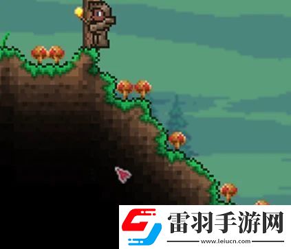 泰拉瑞亞森林地形判定方法詳情