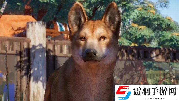 動(dòng)物園之星澳大利亞包有什么動(dòng)物