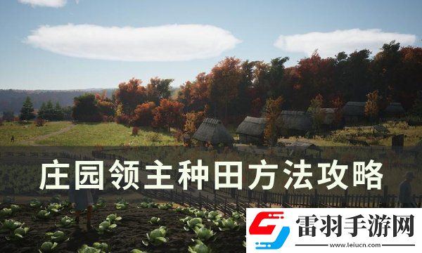 莊園領主怎么種田