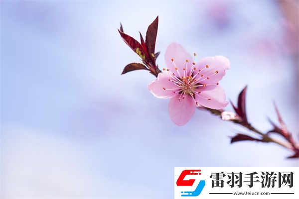 成品網源碼78W78