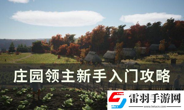 莊園領主新手入門攻略