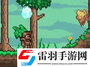 泰拉瑞亞森林地形判定方法詳情