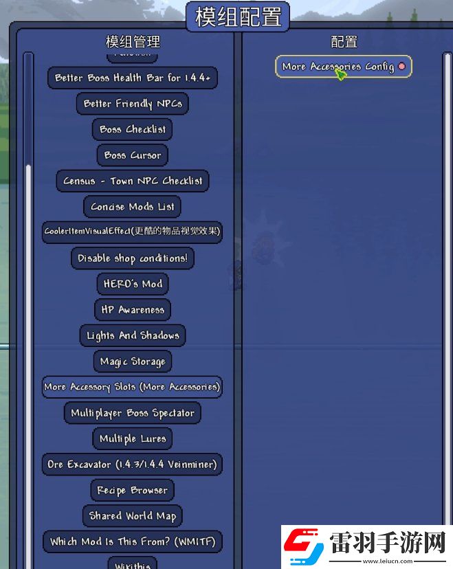 泰拉瑞亞額外飾品模組推薦
