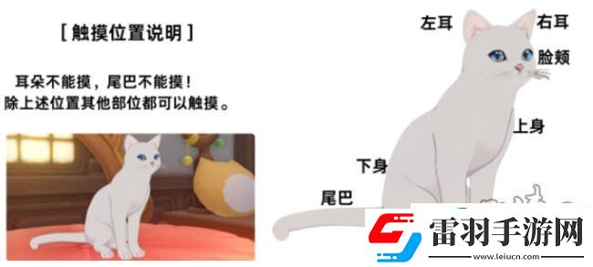 原神阿呆的奇幻樂園攻略