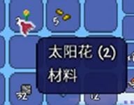 泰拉瑞亞森林地形判定方法詳情