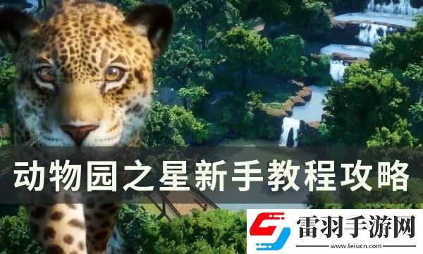 動物園之星新手玩什么模式