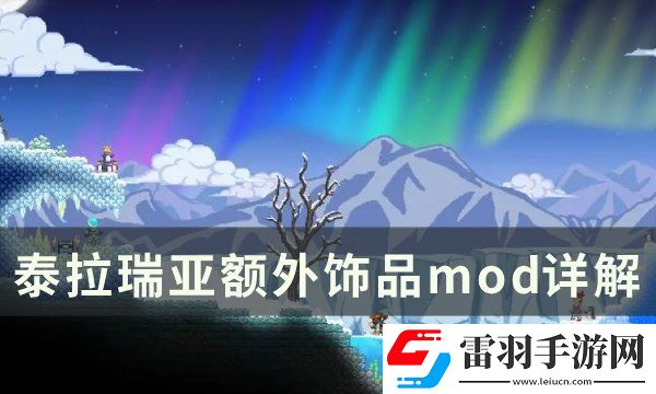 泰拉瑞亞額外飾品模組推薦