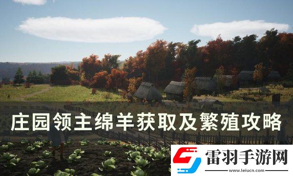 莊園領主綿羊怎么獲得