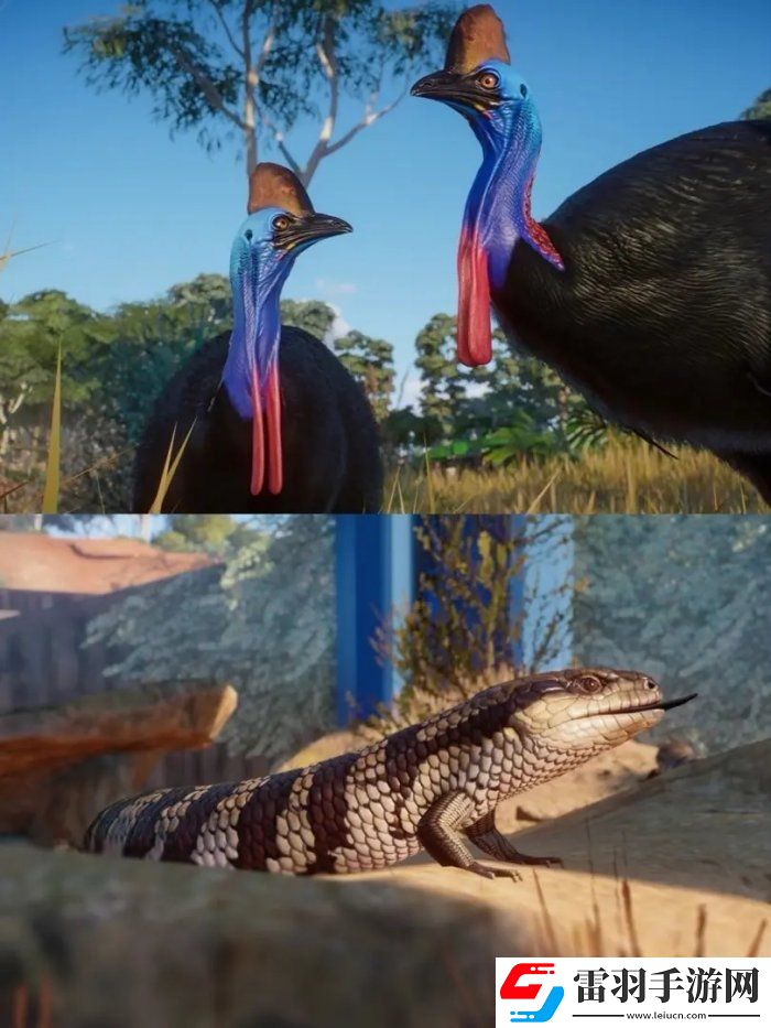 動(dòng)物園之星澳大利亞包有什么動(dòng)物